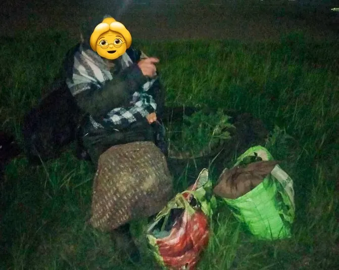 На Волині 82-річна бабуся поїхала в ліс збирати траву та заблукала
