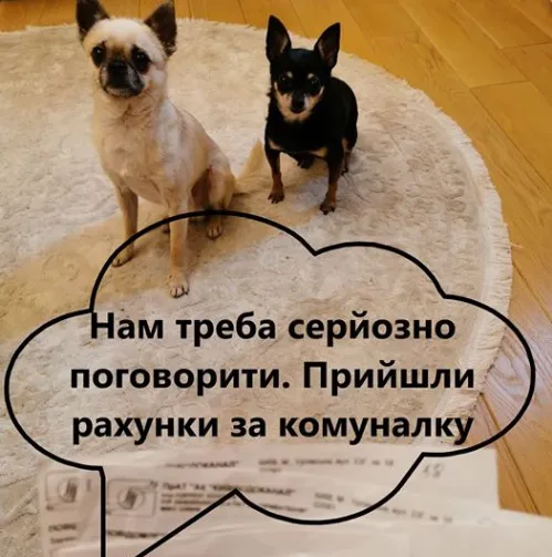 «У вас готівка?» «У мене собака», – соцмережі кепкують із нового конфузу Брагара