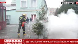 Спалили ялинку: урок безпеки від волинських рятувальників (відео)