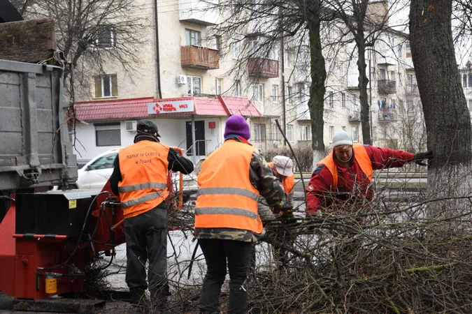 Навіщо на Волі в Луцьку обрізають дерева (фото)