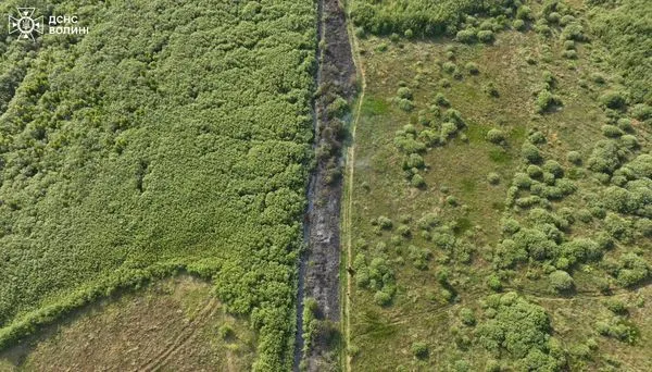 На Волині двоє пенсіонерів виявилися паліями сухої трави (фото)