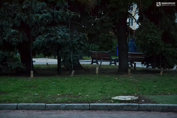 У Луцьку почали прикрашати три головні ялинки (фото)