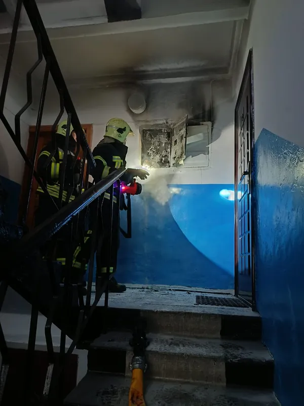 Могли згоріти живцем: під Луцьком з вогню врятували кролів (фото)