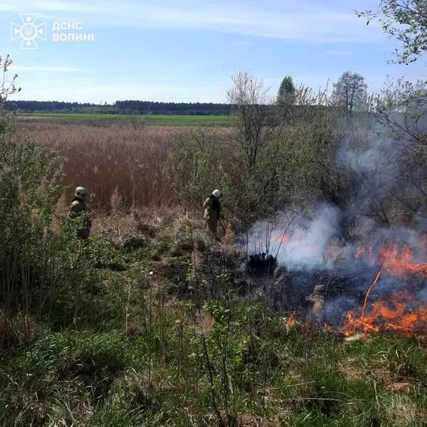 Суха трава, чагарники та очерет: на Волині вигоріли понад 2,5 га угідь (фото)