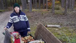 Де на Волині можна назбирати цілий віз грибів (фото)