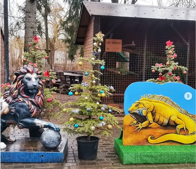 Луцький зоопарк підготував оригінальну фотозону з «драконом» (фото)
