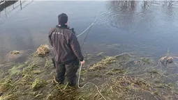 На Волині водолази шукають у річці тіло зниклої 37-річної жінки (фото)