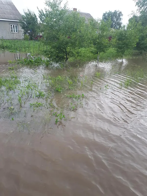 На Волині дощі залили три райони: рятувальники відкачують воду (фото)