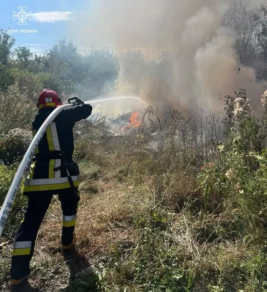 Горіли суха трава, чагарники, торф: на Волині загасили сім пожеж (фото)