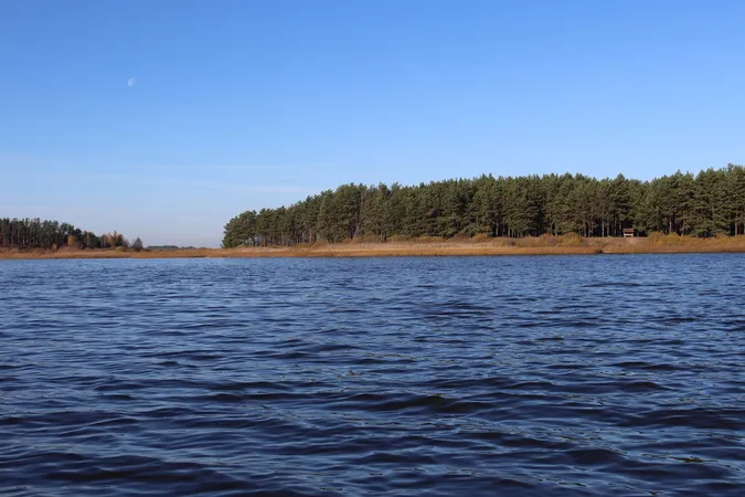 Осінні пейзажі озера на Волині (фото)