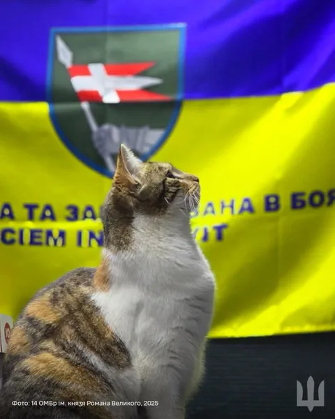 Бійці волинської бригади показали чотирилапу помічницю Фісташку (фото)