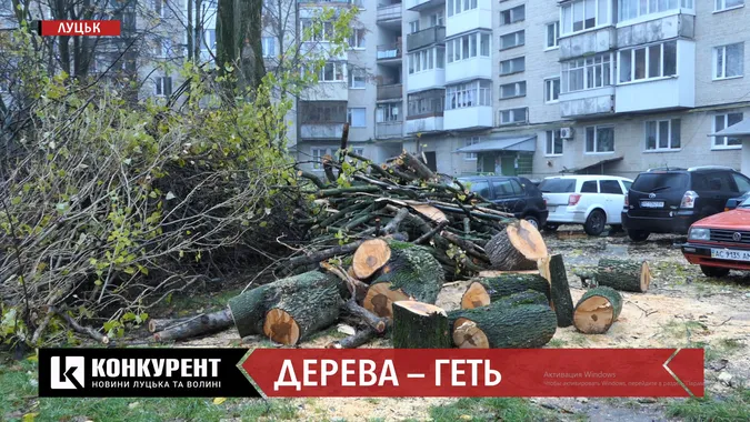 “Саджали їх власними руками”: у луцькому дворі разом з трухлявими вирізали здорові дерева (відео)