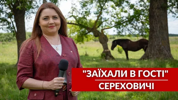 «Син загинув, підберіть нам кольори»: на Волині вирощують плантацію хризантем... для кладовищ (відео)
