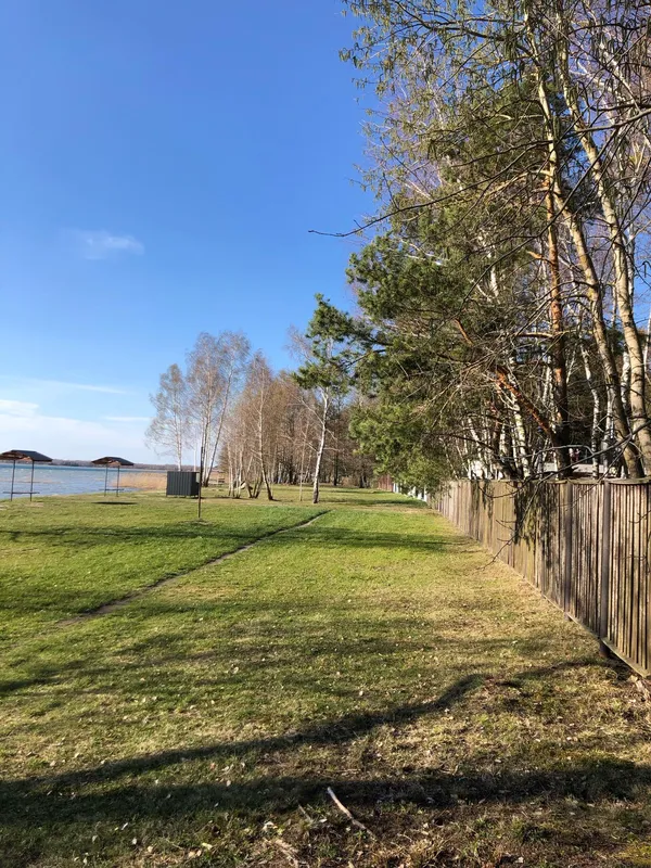 Море серед лісу: волинські морські краєвиди закохують мережу (фото)