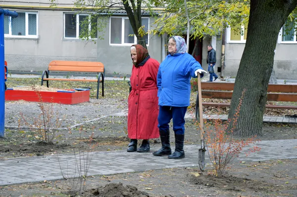 «Будуємо спільне майбутнє»: у луцьких дворах посадили дерева