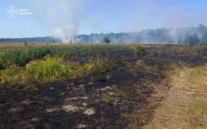 Дві пожежі за день: на Волині вигоріло майже 2 гектари сухостою (фото)