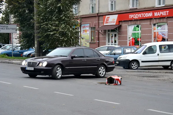 У Луцьку люк без кришки позначили пухнастою будкою (фото)