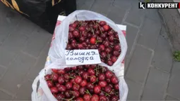 На ринку у Луцьку – аншлаг через ціни на вишні, черешні та сезонні ягоди (відео)