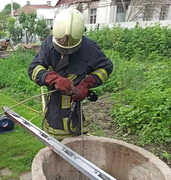 На Волині рятувальники витягнули цуценя з 25-метрового колодязя (фото)