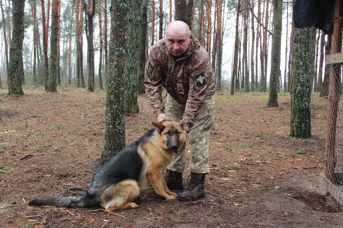 Мокрий носик: у волинській бригаді «служить» вівчарка Пуля (фото)