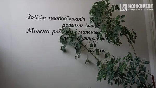 Посилки, освідчення  та комуналка, або Як працює луцька «Укрпошта» (фото)
