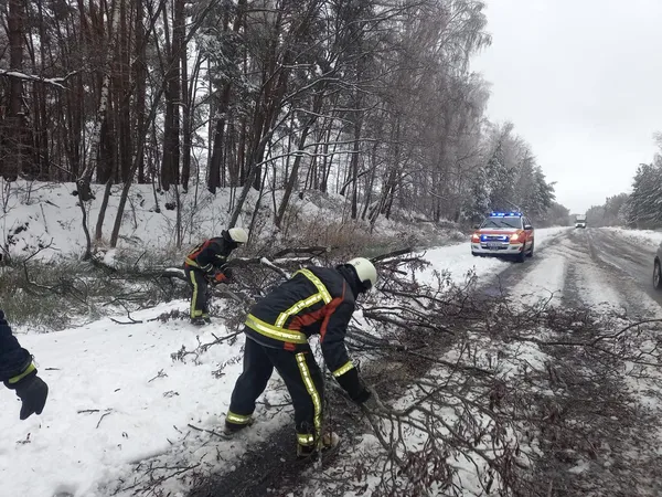 Негода на Волині: рятувальники розчищували дороги від повалених дерев (фото)