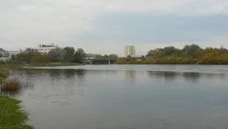 Річкою Стир у Луцьку пустили катер  (відео) 