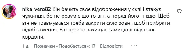 Замість оленя Бориса до відомої блогерки тепер приходить лелека (відео)