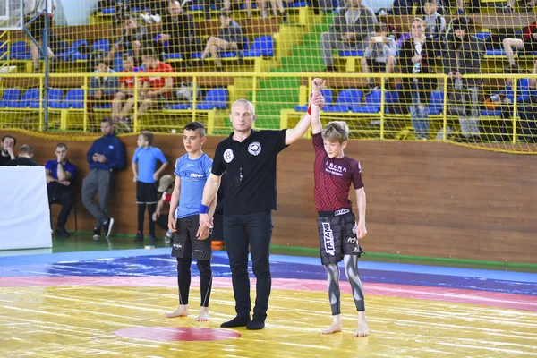 П'ятеро волинян стали призерами: у Луцьку пройшов чемпіонат з панкратіону і грепплінгу (фото)