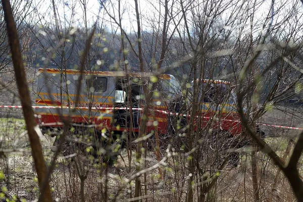 У лісі на Волині знайшли схрон боєприпасів німецької армії часів Другої світової війни (фото)