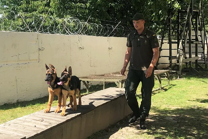 Як волинські гвардійці з грайливих щенят виховують службових псів (фото)