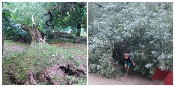 Головне у Луцьку: ТОП новин за середу, 7 липня