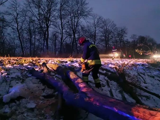 На Волині сильний вітер повалив на дорогу дерева (фото)