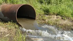 На Волині у річку виливають стічні води з місцевих полів (фото)