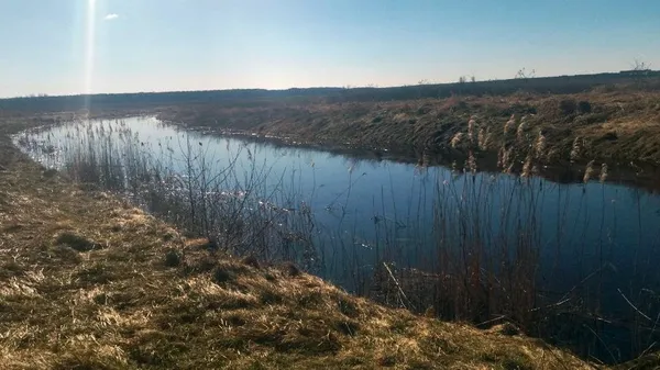 Річка Воронка у Ковельському районі