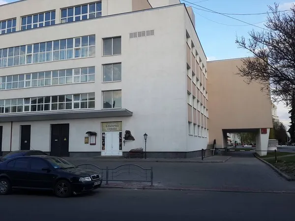 Лучанин пояснив, як водії авто можуть «успішно» паркуватися в центрі міста (фото)