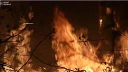 Як гасили масштабну лісову пожежу в Луцькому районі (відео)