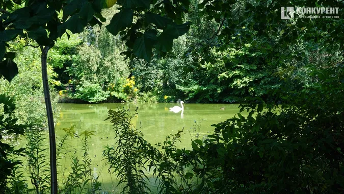 Серпневий квітник у Луцькому зоопарку (фото)