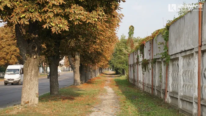 Квіти, песики, каштани: Дубнівська у Луцьку восени (фото)