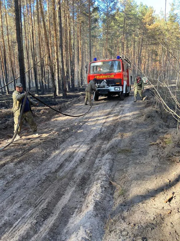 Шкода від лісових пожеж більша, ніж від незаконних рубок, – головний лісівник Волині (фото)