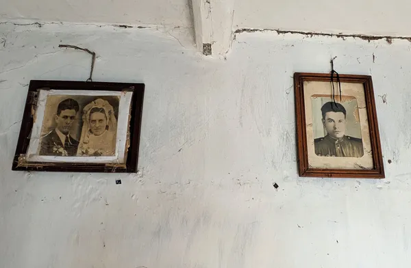 Сади чехів та покинуті хати: показали красу зниклих волинських хуторів (фото)