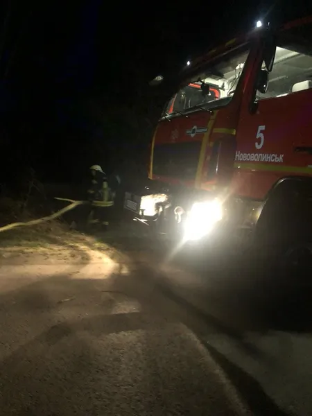 На Волині вночі дерево «здуло» на дорогу (фото)