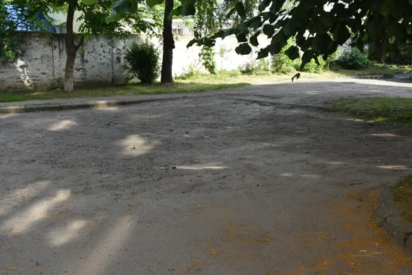 Бруківка, дитяча зона, LED-освітлення: у Луцьку відремонтують двір на Потебні (фото)
