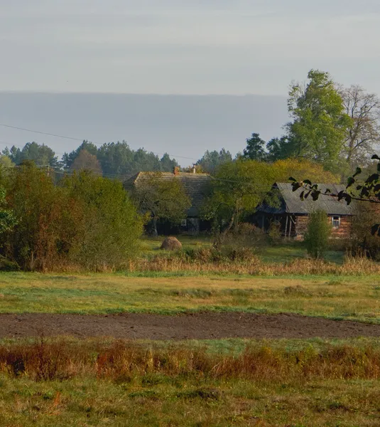 Простота, спокій, загадковість: осінь у селі на Волині (фото)