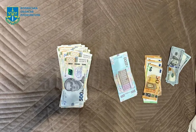 Знищили понад 1100 дерев: на Волині викрили організовану групу крадіїв лісу (фото)