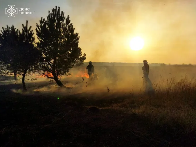 Вогонь нищив усе живе: на Волині вигоріли 26 гектарів землі (фото)