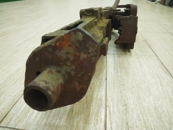 Пролежав у багнюці 70 років: на Волині знайшли артефакт авіакатастрофи (фото)