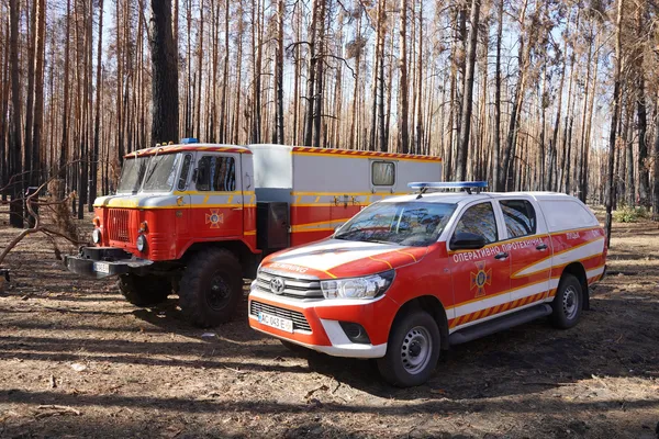Показали, як волинські сапери працюють на Донеччині (фото)
