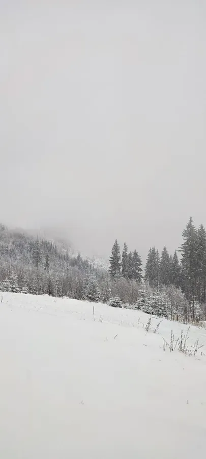 Прикордонники показали засніжені новорічні Карпати (фото)