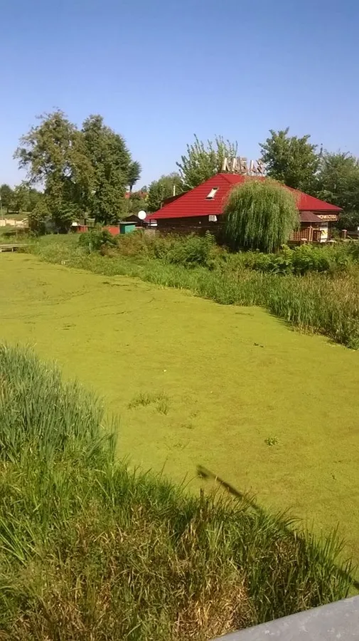 Річка Турія у Ковелі перетворюється на болото (фото)
